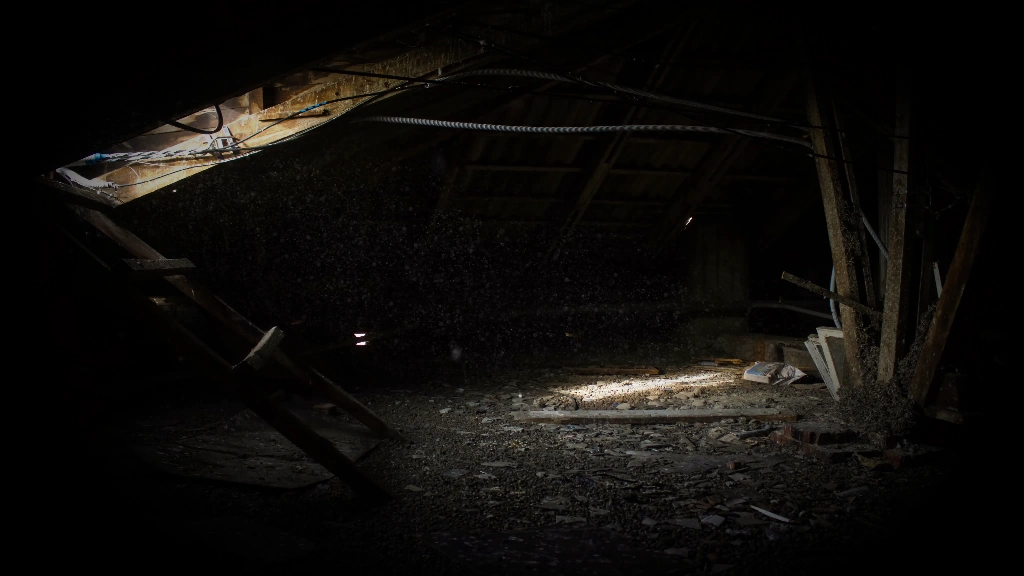 Dusty attic with strange objects